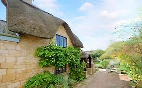 The Thatch